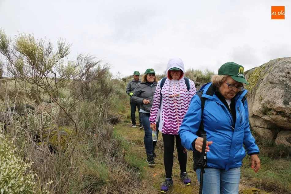 Foto 9 - Cerca de 400 valientes recorren la Ruta de Mieza para conocer el mayor bosque de almez de Europa  
