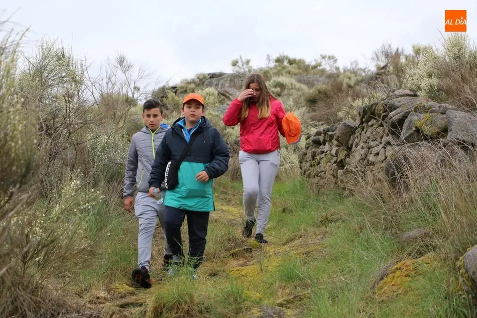 Foto 8 - Cerca de 400 valientes recorren la Ruta de Mieza para conocer el mayor bosque de almez de Europa  