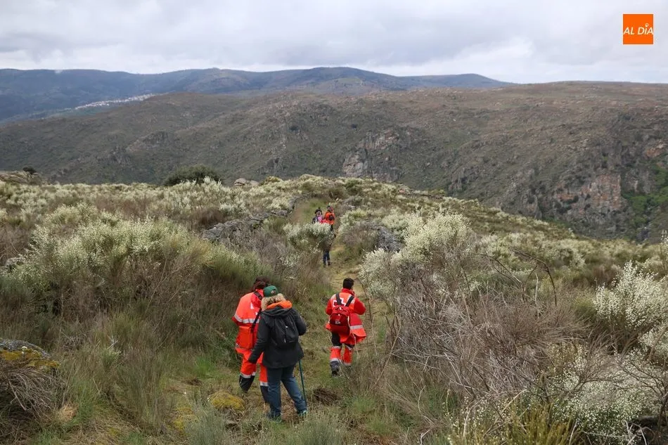 Foto 7 - Cerca de 400 valientes recorren la Ruta de Mieza para conocer el mayor bosque de almez de Europa  