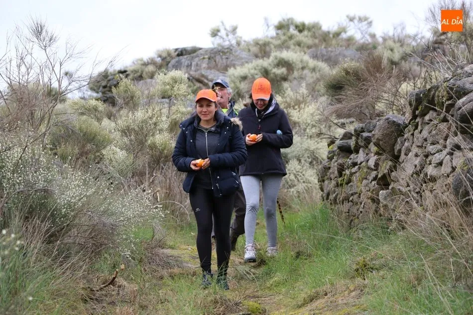 Foto 6 - Cerca de 400 valientes recorren la Ruta de Mieza para conocer el mayor bosque de almez de Europa  