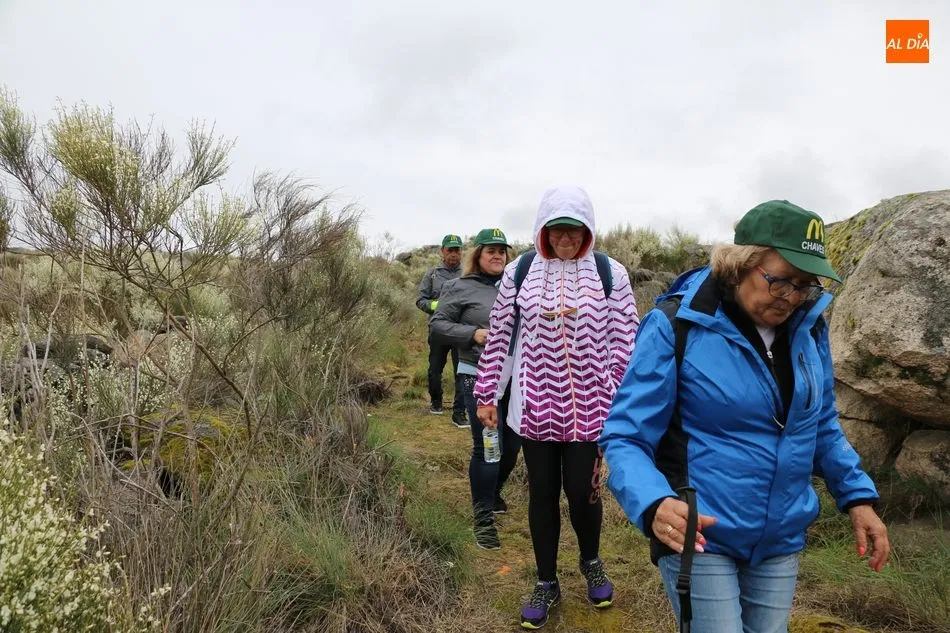 Foto 4 - Cerca de 400 valientes recorren la Ruta de Mieza para conocer el mayor bosque de almez de Europa  