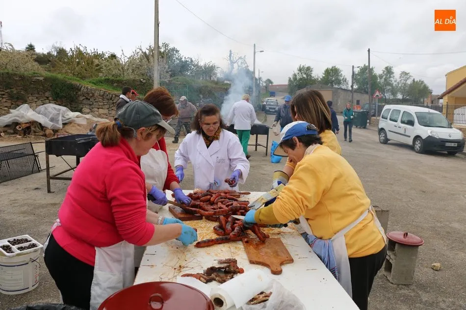 Foto 2 - Cerca de 400 valientes recorren la Ruta de Mieza para conocer el mayor bosque de almez de Europa  