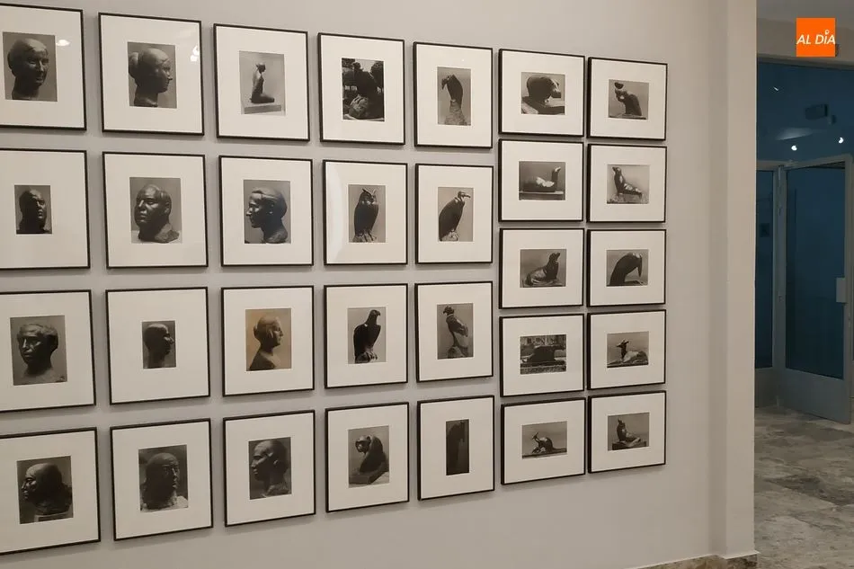Foto 8 - El Museo Mateo Hern&aacute;ndez expone al p&uacute;blico una importante colecci&oacute;n de fotograf&iacute;as del escultor ...