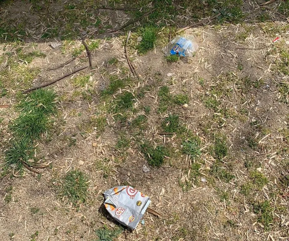 Foto 7 - Los parques infantiles, abandonados y sin mantenimiento