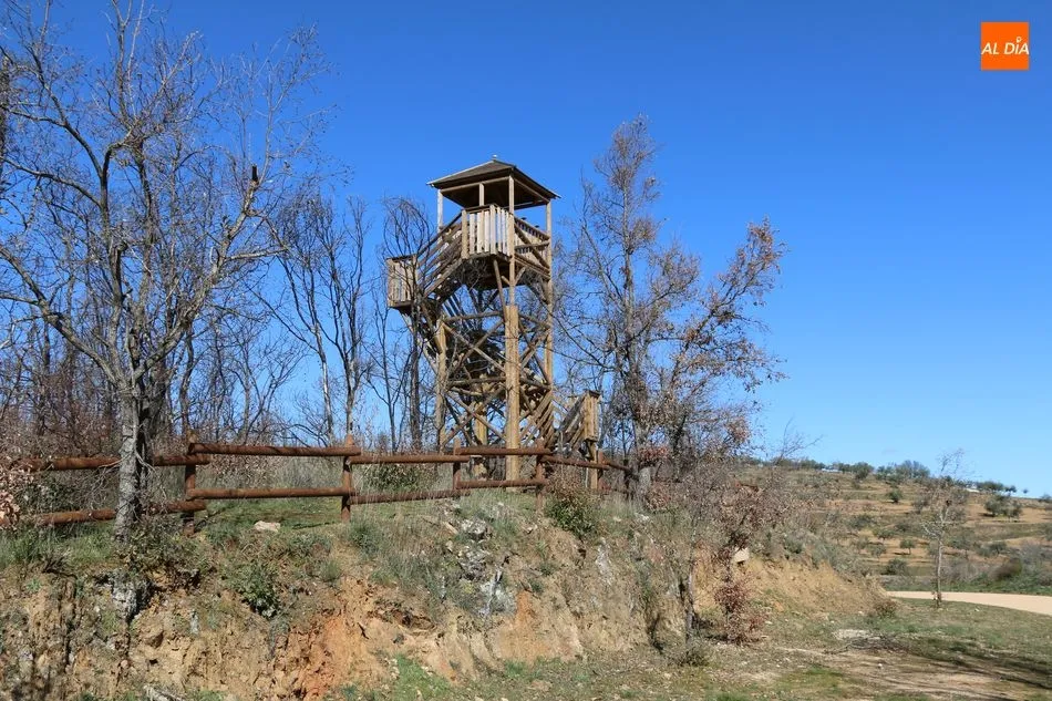 Foto 6 - La capital de La Ribera, con paso firme hacia el desarrollo tur&iacute;stico  