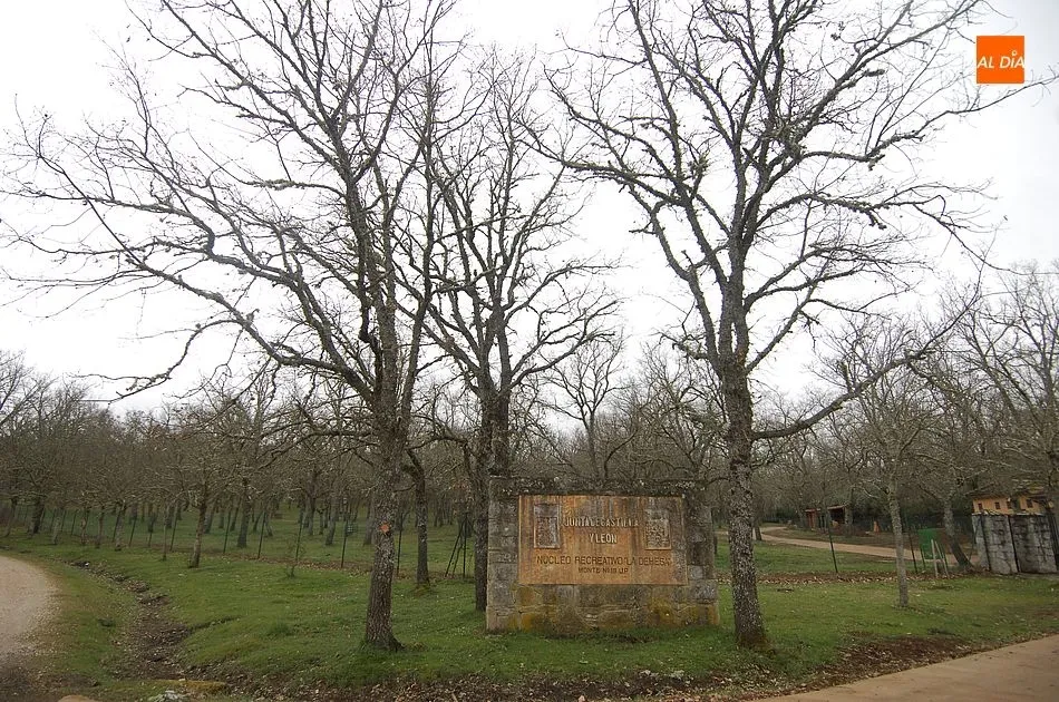 Foto 3 - El Ayuntamiento de Agallas ofrece gratuitamente las instalaciones de su camping durante la Semana...