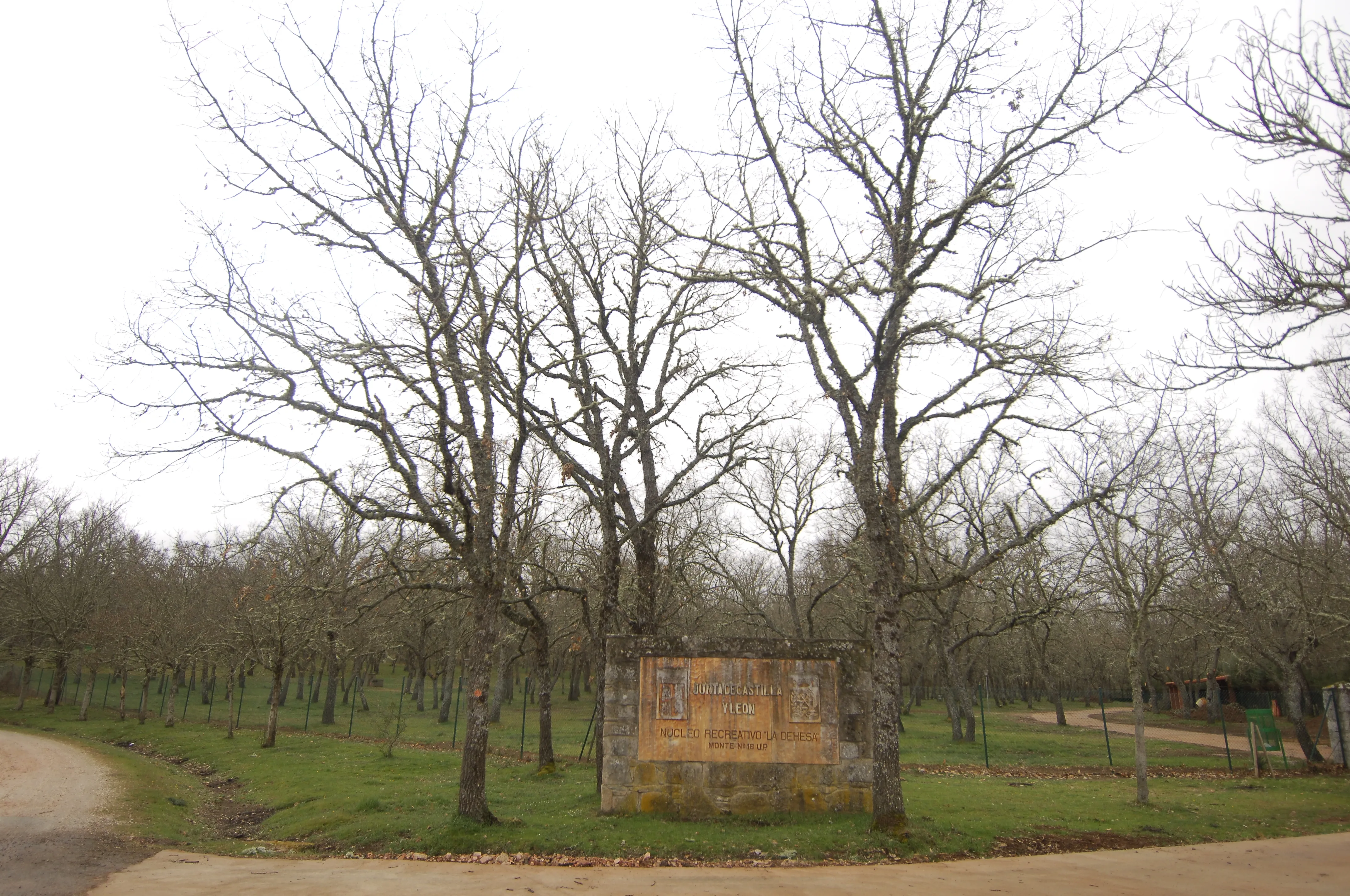 El Ayuntamiento de Agallas ofrece gratuitamente las instalaciones de su camping durante la Semana...
