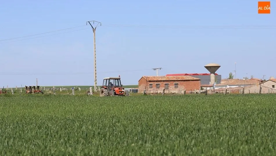 Las ayudas de modernización de explotaciones permiten acometer proyectos de inversión