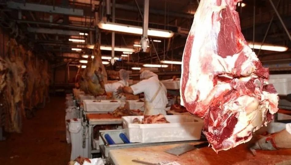 A los trabajos de cuchillo, sierra y otras herramientas se les aplica otra categoría diferente a la de peón