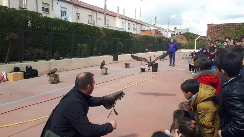 Foto 4 - Escolares del Colegio La Encarnaci&oacute;n disfrutan con una original exhibici&oacute;n de aves y un taller en ...