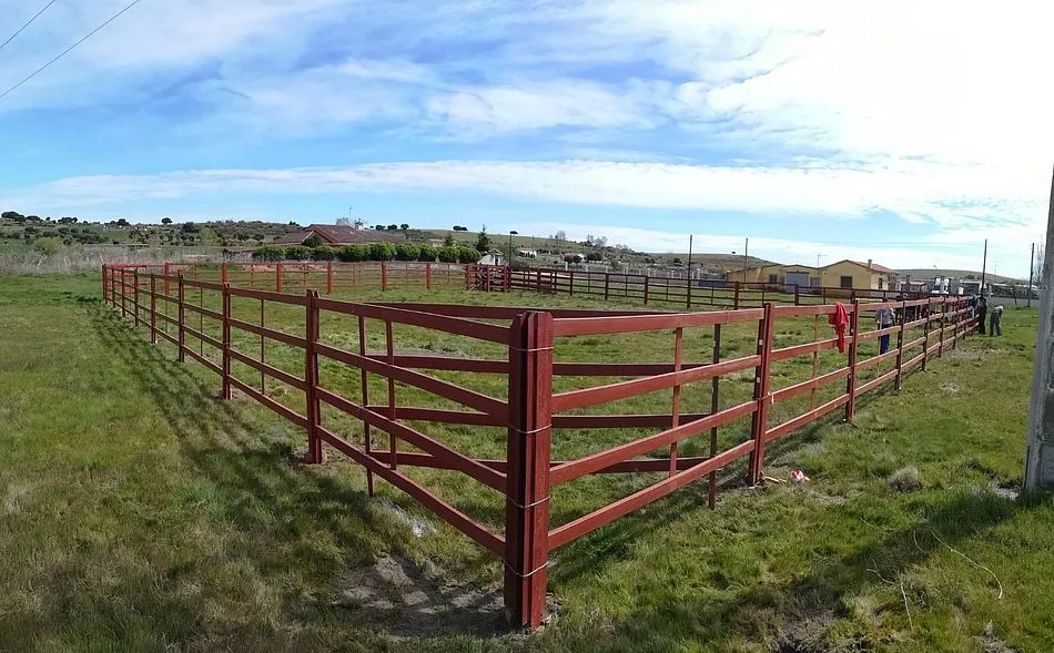 Foto 3 - Instalada la plaza de toros en Ivanrey para las fiestas de San Jos&eacute; Obrero  