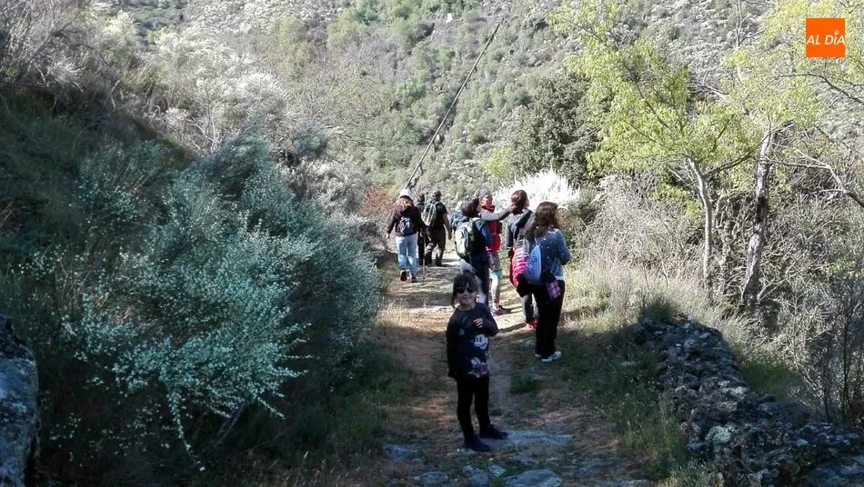 Foto 9 - El Puente de los Franceses de San Felices acoge el taller de observaci&oacute;n de aves rapaces del...