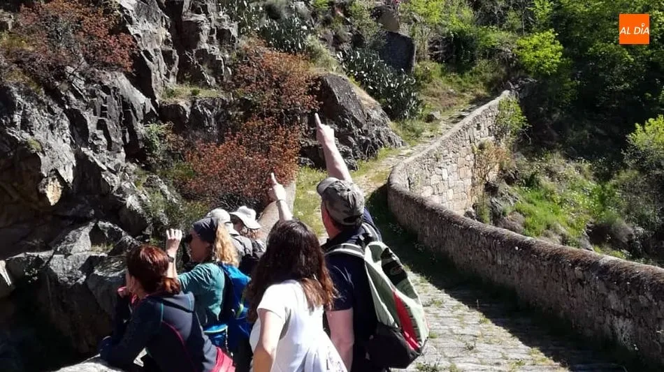 Foto 10 - El Puente de los Franceses de San Felices acoge el taller de observaci&oacute;n de aves rapaces del...