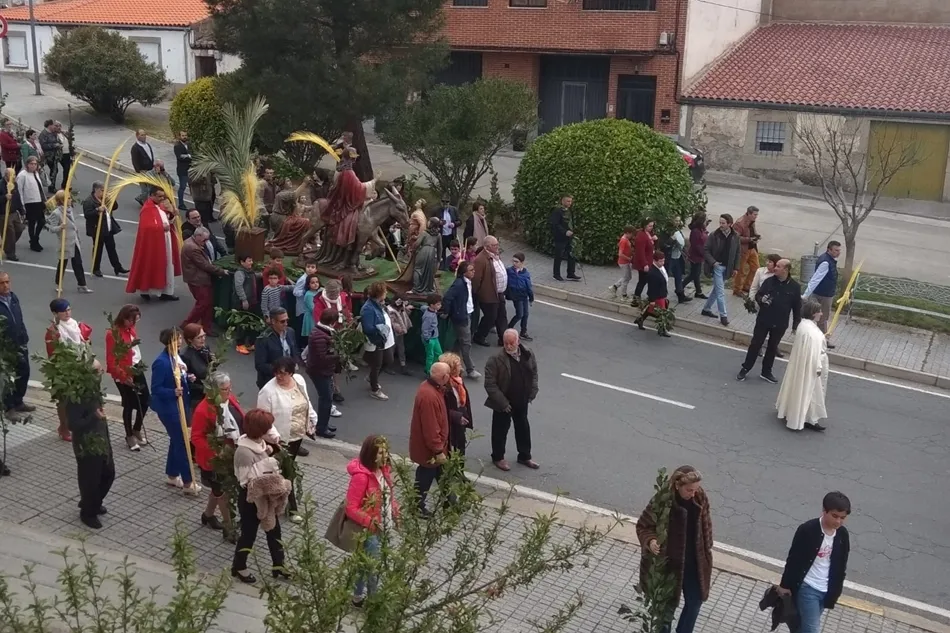 Foto 7 - Ledesma inicia el camino de la Pascua con La Borriquilla