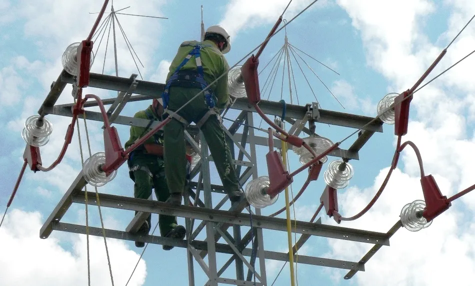 Trabajos de protección de avifauna en apoyo eléctrico de Iberdrola