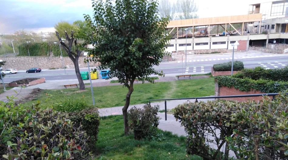 Mi margen izquierda había mostrado su preocupación por la posible tala de árobles