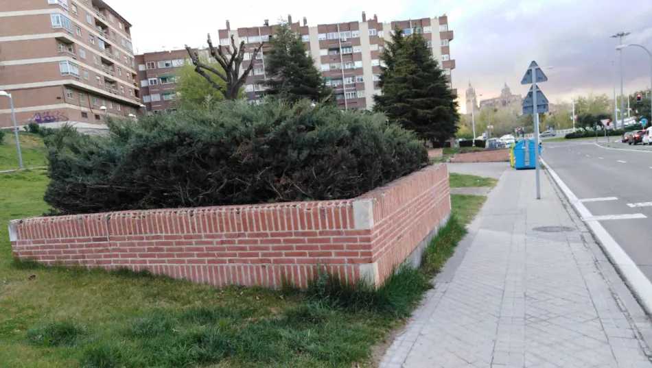 Foto 2 - El&nbsp;Ayuntamiento mantendr&aacute; los &aacute;rboles de la zona verde de la calle Joaqu&iacute;n Rodrigo y plantar&aacute;...