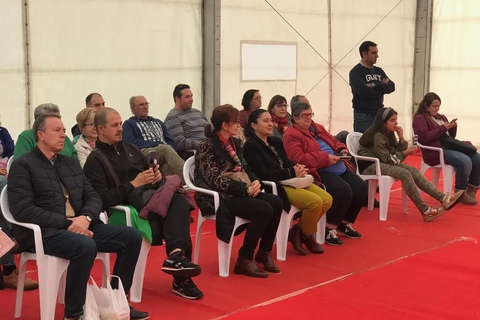 Foto 10 - El desfile de peinetas y mantillas acapara la atenci&oacute;n del p&uacute;blico en la Feria de Vitigudino