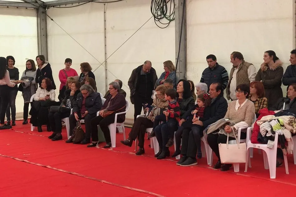 Foto 6 - El desfile de peinetas y mantillas acapara la atenci&oacute;n del p&uacute;blico en la Feria de Vitigudino