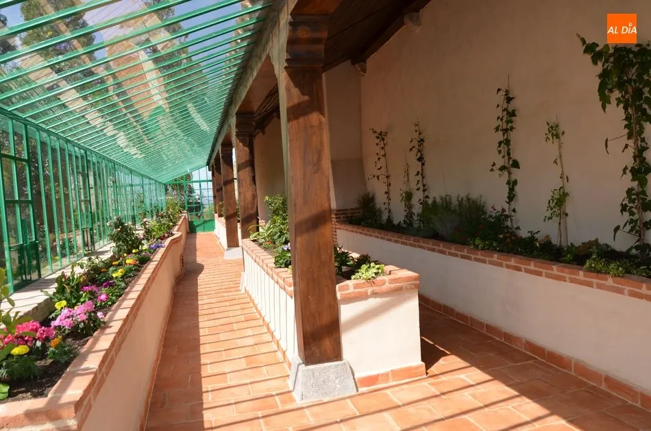 Foto 7 - M&aacute;s de medio millar de personas visitan la remodelaci&oacute;n de El Bosque en la primera jornada de...