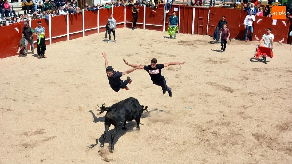 Dos jóvenes haciendo un espectacular salto a duo sobre el novillo / E. Corredera