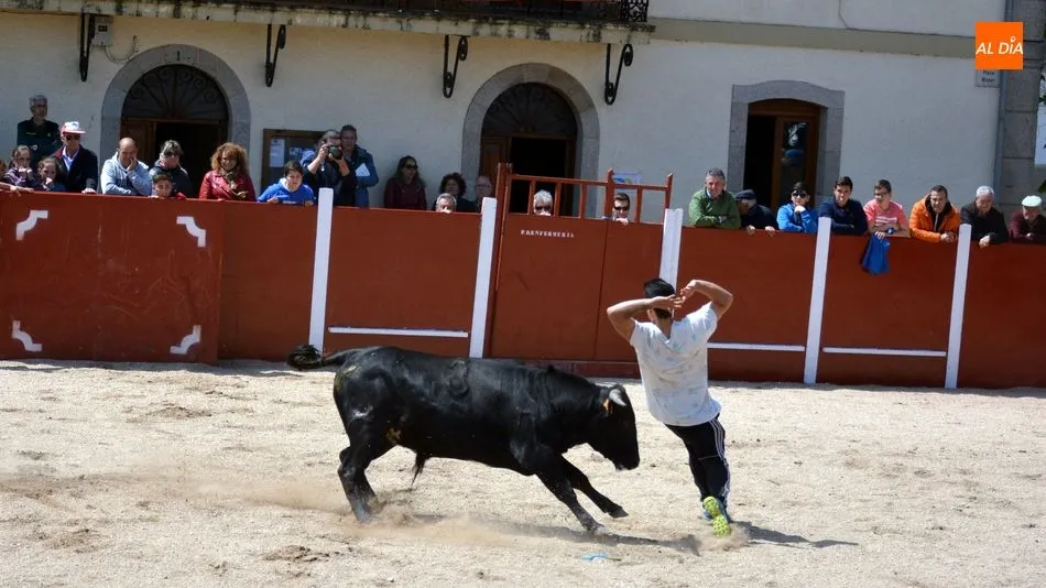 Foto 11 - Animado encierro de seis reses en las fiestas de San Jorge de Olmedo