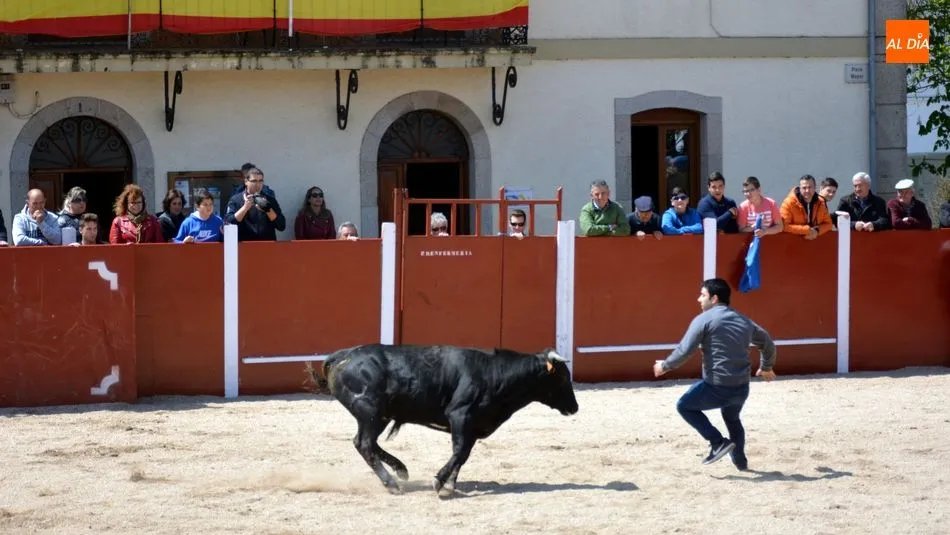 Foto 10 - Animado encierro de seis reses en las fiestas de San Jorge de Olmedo