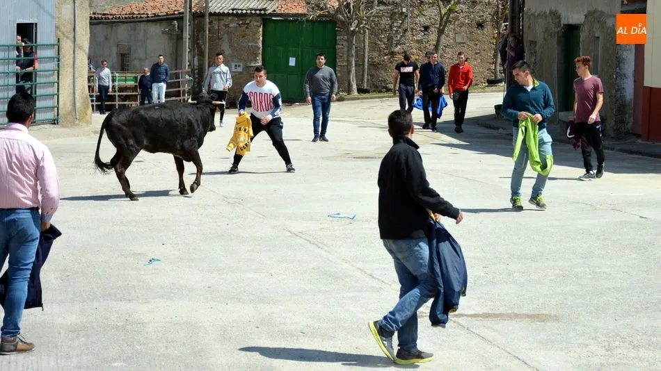 Foto 5 - Animado encierro de seis reses en las fiestas de San Jorge de Olmedo