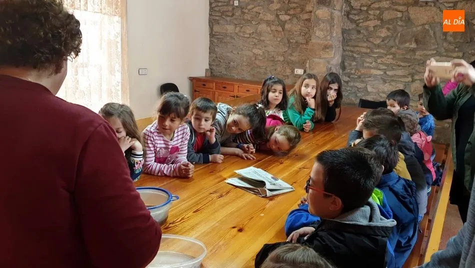 Foto 5 - Los ni&ntilde;os disfrutan elaborando queso artesano en un taller en el Torre&oacute;n de Sobradillo