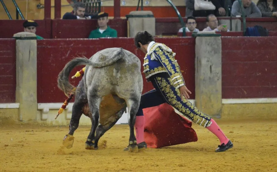 Foto 8 - Chaves se reivindica en Zaragoza  
