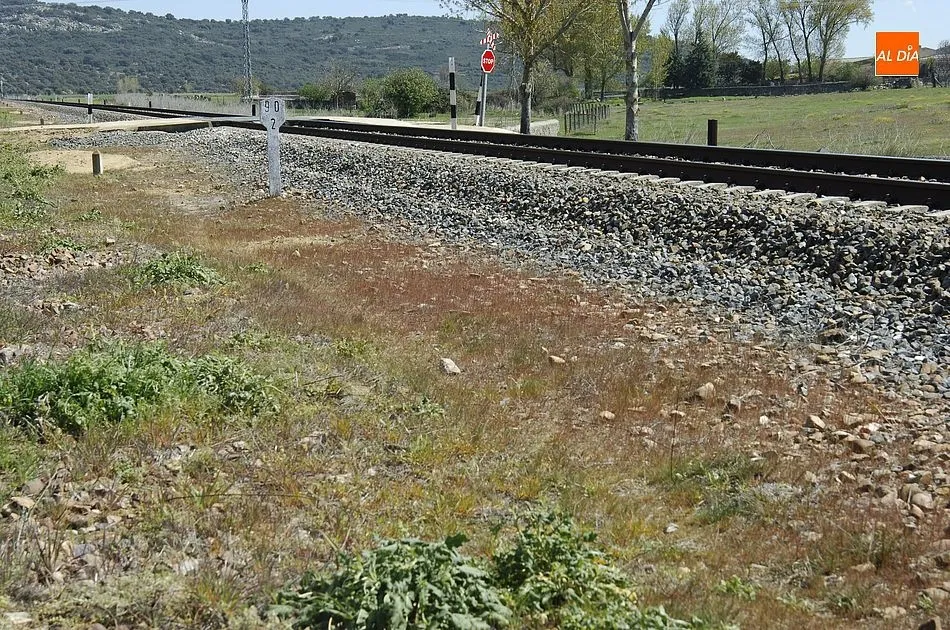 Foto 2 - Un apicultor de Ciudad Rodrigo culpa al &lsquo;tren herbicida&rsquo; de ADIF de la muerte de sus colmenas