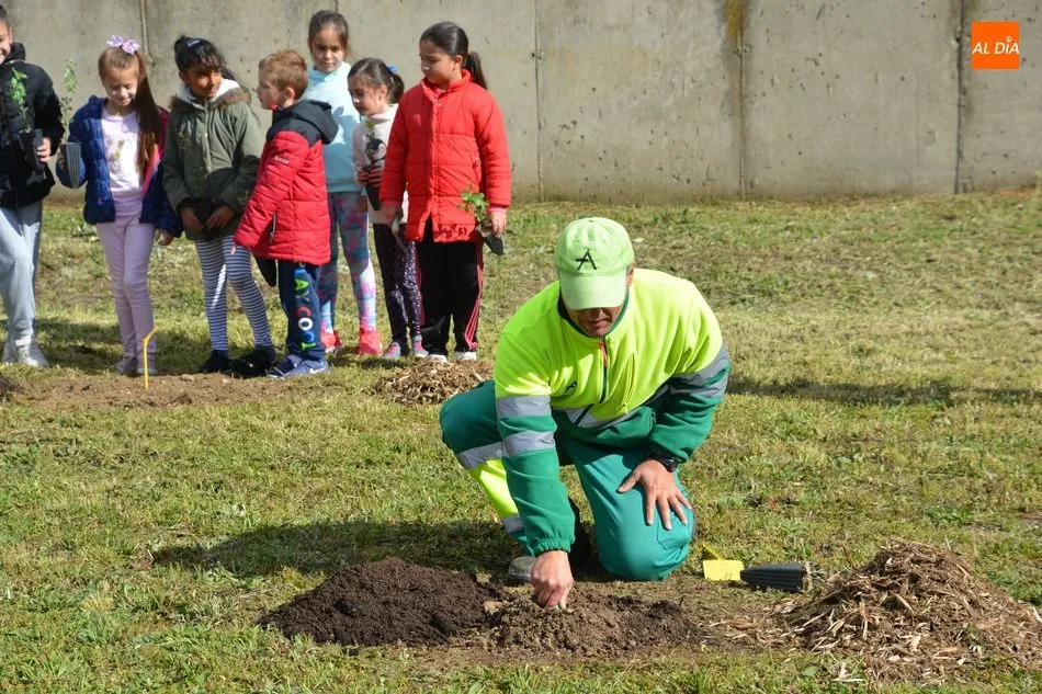 Foto 2 - El alcalde se suma a la celebraci&oacute;n del D&iacute;a Mundial del &Aacute;rbol en el Colegio Lazarillo de Tormes  