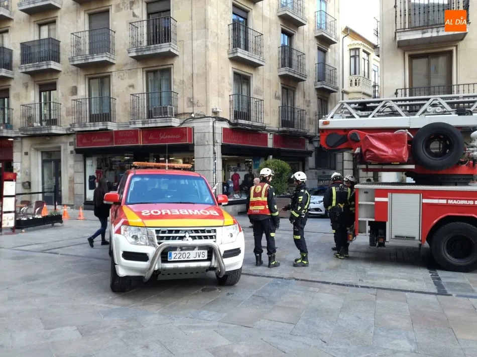 Foto 4 - Los Bomberos intervienen en la R&uacute;a por desprendimientos en una fachada  