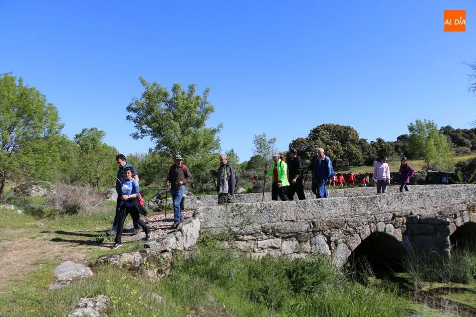 Foto 8 - El paisaje adehesado de Hinojosa deja prendados a los participantes en la d&eacute;cima Ruta de...