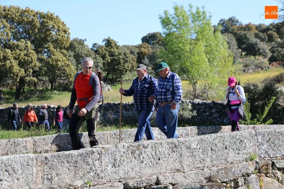 Foto 6 - El paisaje adehesado de Hinojosa deja prendados a los participantes en la d&eacute;cima Ruta de...