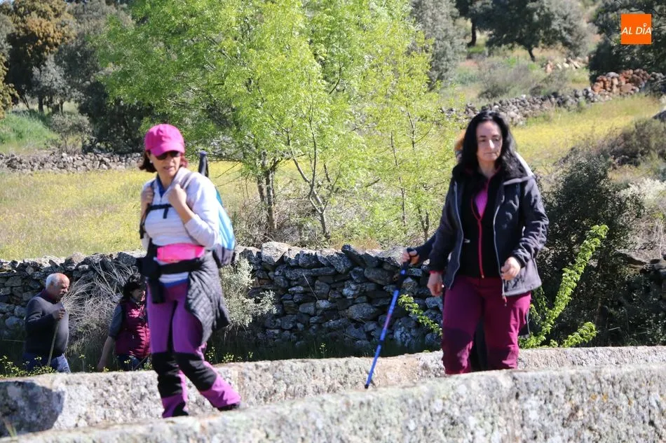 Foto 4 - El paisaje adehesado de Hinojosa deja prendados a los participantes en la d&eacute;cima Ruta de...
