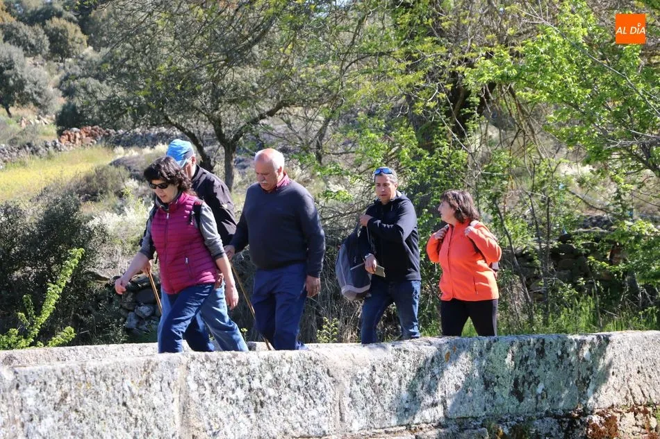 Foto 3 - El paisaje adehesado de Hinojosa deja prendados a los participantes en la d&eacute;cima Ruta de...