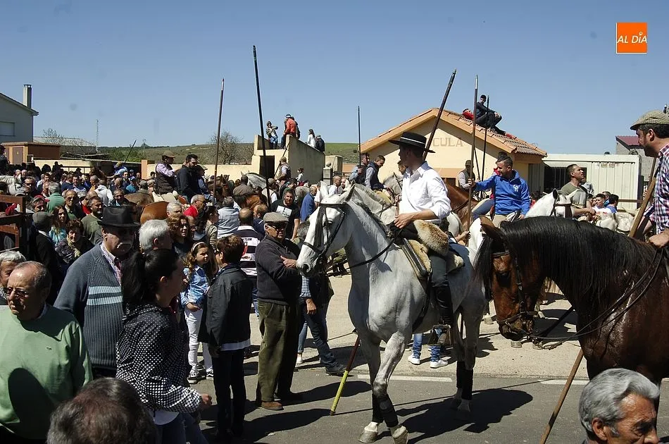 Foto 4 - Miles de personas presencian el r&aacute;pido y limpio primer encierro de Gallegos  