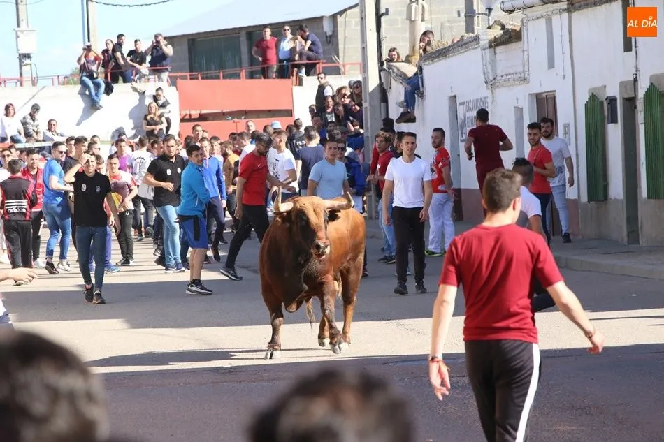 Medicero, rodeado de mozos