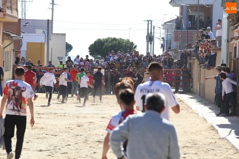 Foto 7 - Villoria, abarrotada para el V Toro del Voto