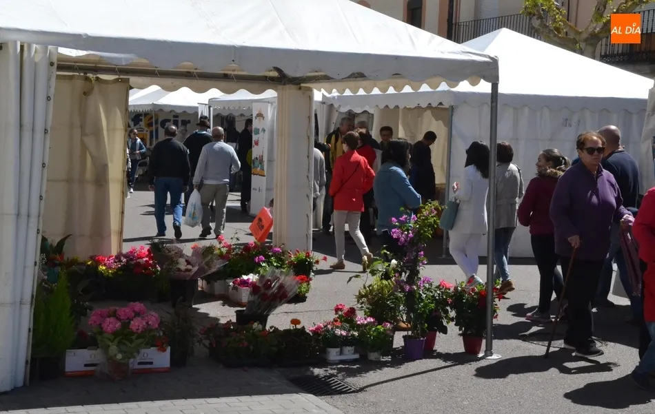 Foto 11 - Una gran meteorolog&iacute;a brinda una espl&eacute;ndida jornada sabatina en la Feria del Libro  