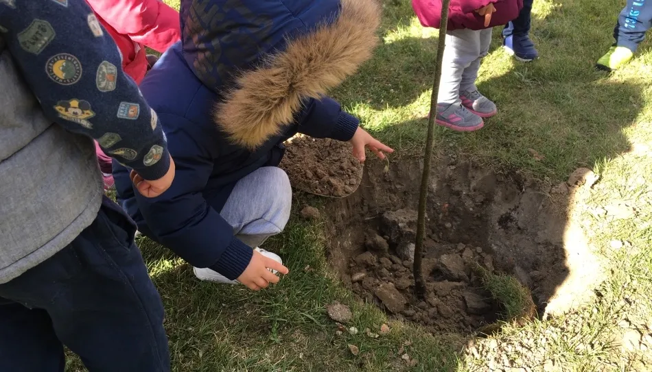 Los asistentes disfrutaron viendo a los niños plantando este nogal