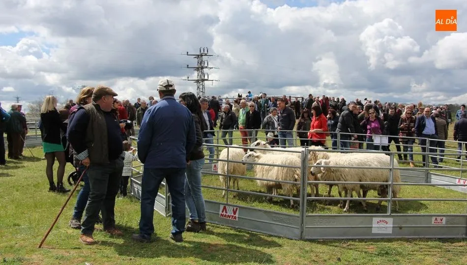 Barruecopardo será lugar de encuentro para cientos de persona el próximo 1 de mayo / CORRAL