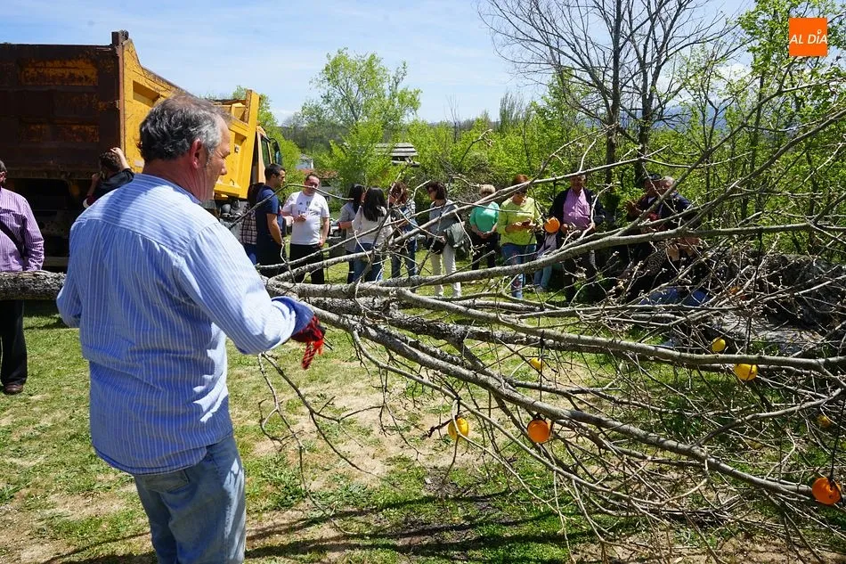 Foto 11 - Los quintos de Los Santos celebran la tradici&oacute;n de la Picota