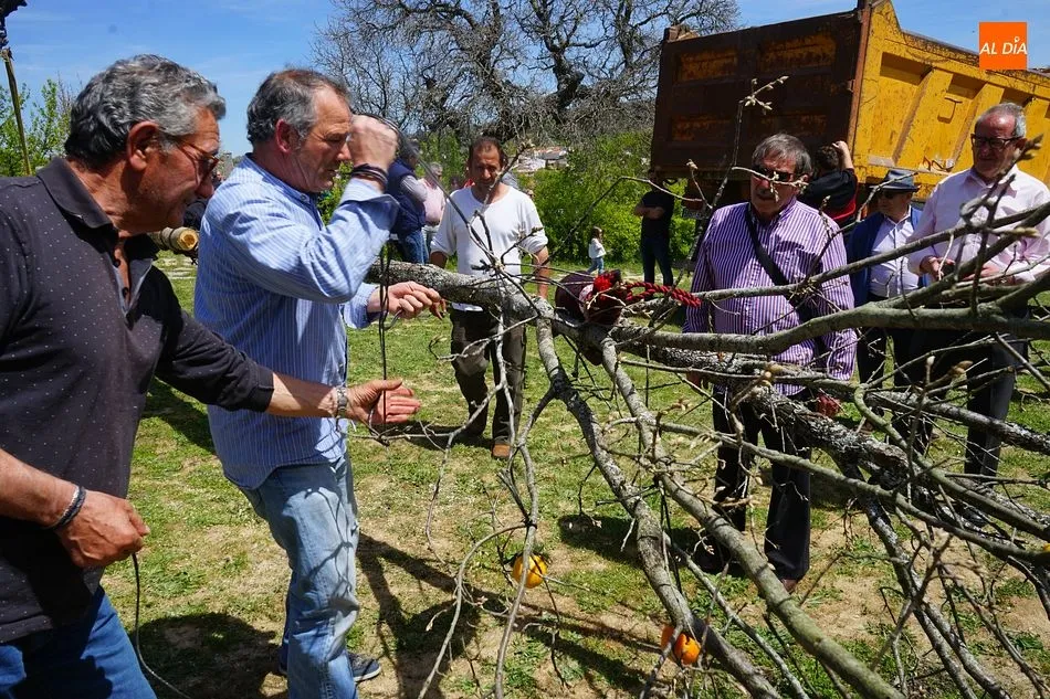 Foto 8 - Los quintos de Los Santos celebran la tradici&oacute;n de la Picota