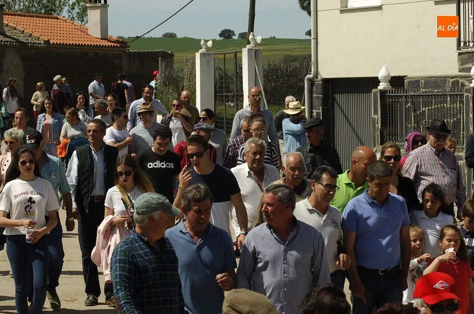 Foto 9 - Dos cabestros alargan otro limpio encierro en Gallegos que congreg&oacute; a muchos m&aacute;s caballistas  