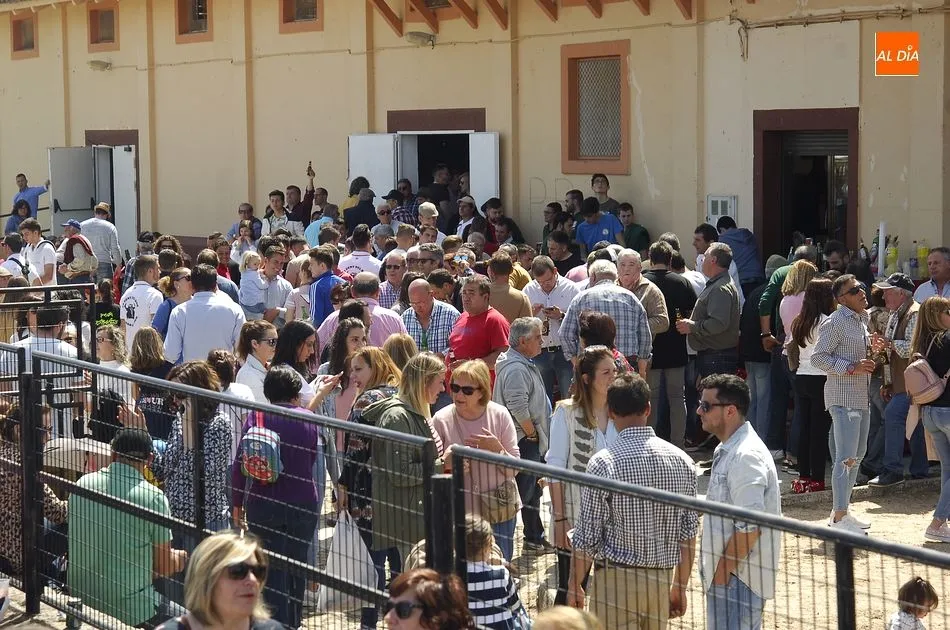 Foto 4 - Dos cabestros alargan otro limpio encierro en Gallegos que congreg&oacute; a muchos m&aacute;s caballistas  
