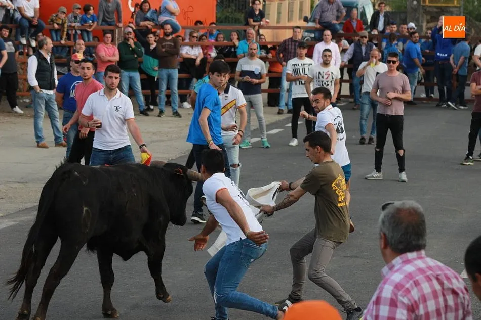 Foto 8 - Tarde taurina en Gallegos de Arga&ntilde;&aacute;n para despedir sus fiestas  