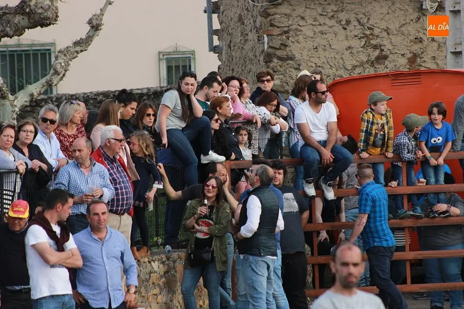 Foto 6 - Tarde taurina en Gallegos de Arga&ntilde;&aacute;n para despedir sus fiestas  