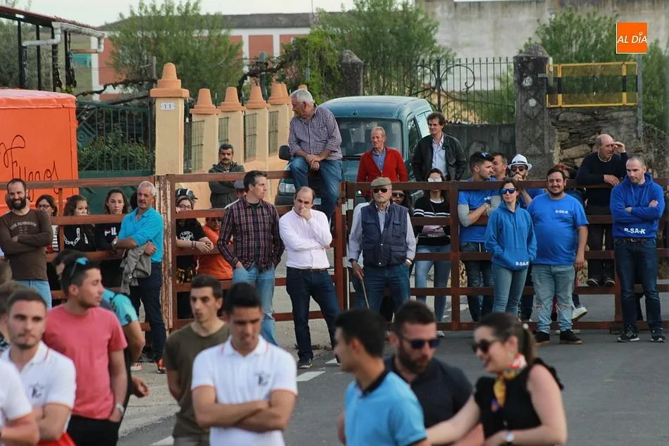 Foto 4 - Tarde taurina en Gallegos de Arga&ntilde;&aacute;n para despedir sus fiestas  